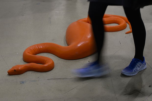 &#39;Cobra laranja&#39; é uma das atrações de feira de arte na Basileia (Foto: Fabrice Coffrini/AFP)
