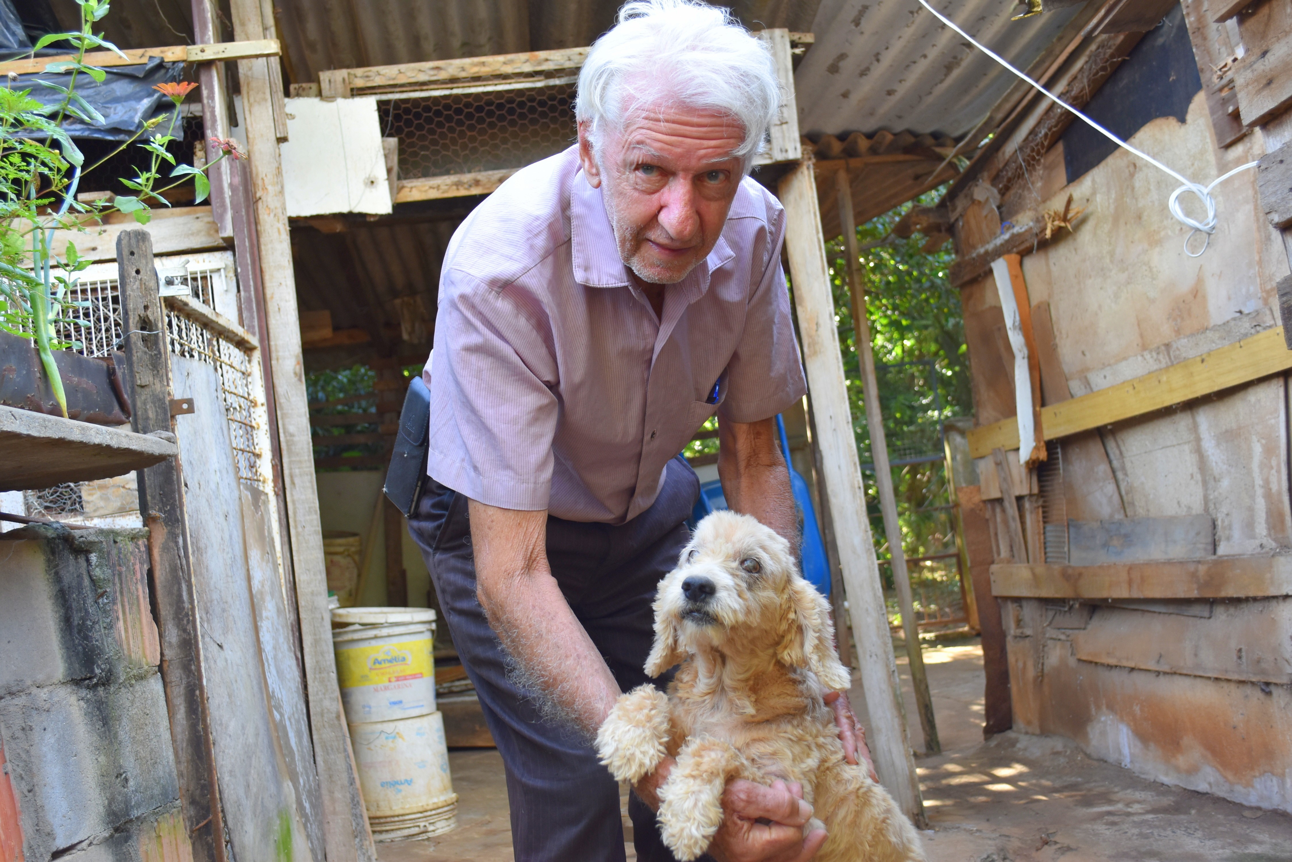Idoso de São Carlos cuida de mais de 100 cães e gatos resgatados das ruas: 'toda ajuda é bem-vinda'