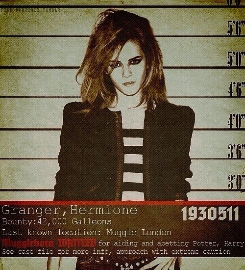 Hermione Granger (Foto: Reprodução)