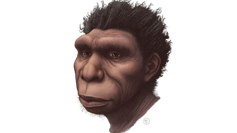 Ilustração do Homo bodoensis (Foto: ETTORE MAZZA)