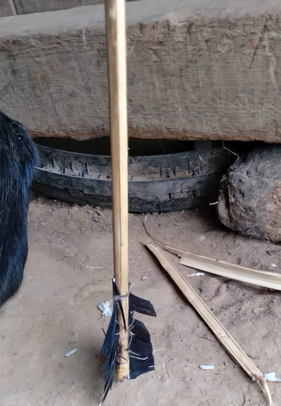 Flecha usada para atingir ndia Zor  Foto: Divulgao