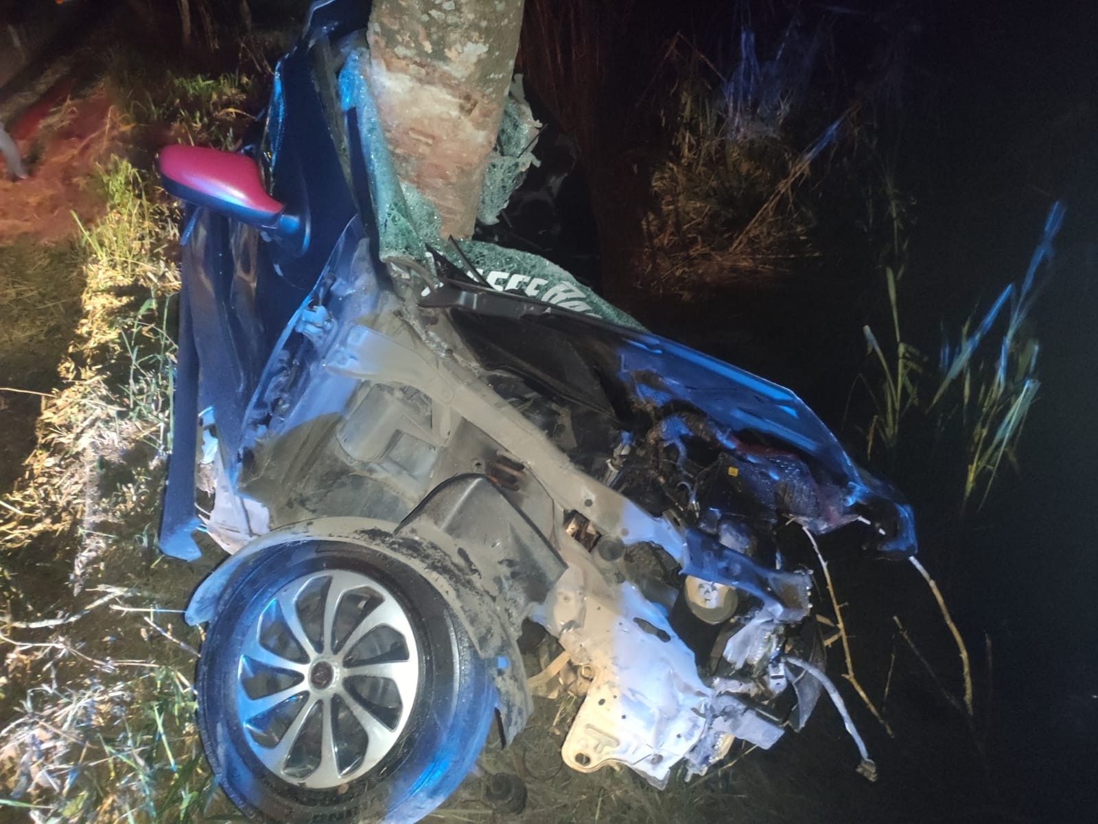 Motorista morre após perder controle da direção e bater carro contra árvore na Rio-Santos, em Paraty