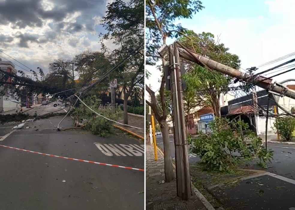 Ventania derruba árvore e racha poste ao meio na praça da Prefeitura de Bauru — Foto: Arquivo pessoal/Kong Chik Wai