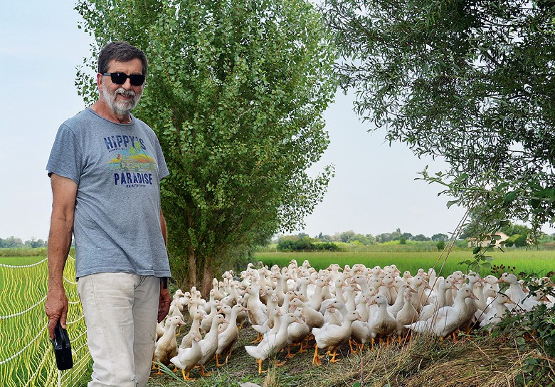 Poujol e seus patos, que ouvem rádio à noite e comem ervas do arroz de dia (Foto: Alana Fraga)