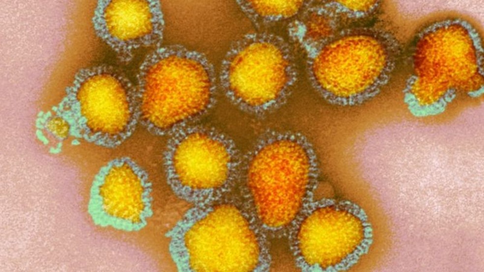 O vírus influenza está relacionado a 650 mil mortes por ano, estima a OMS — Foto: Getty Images