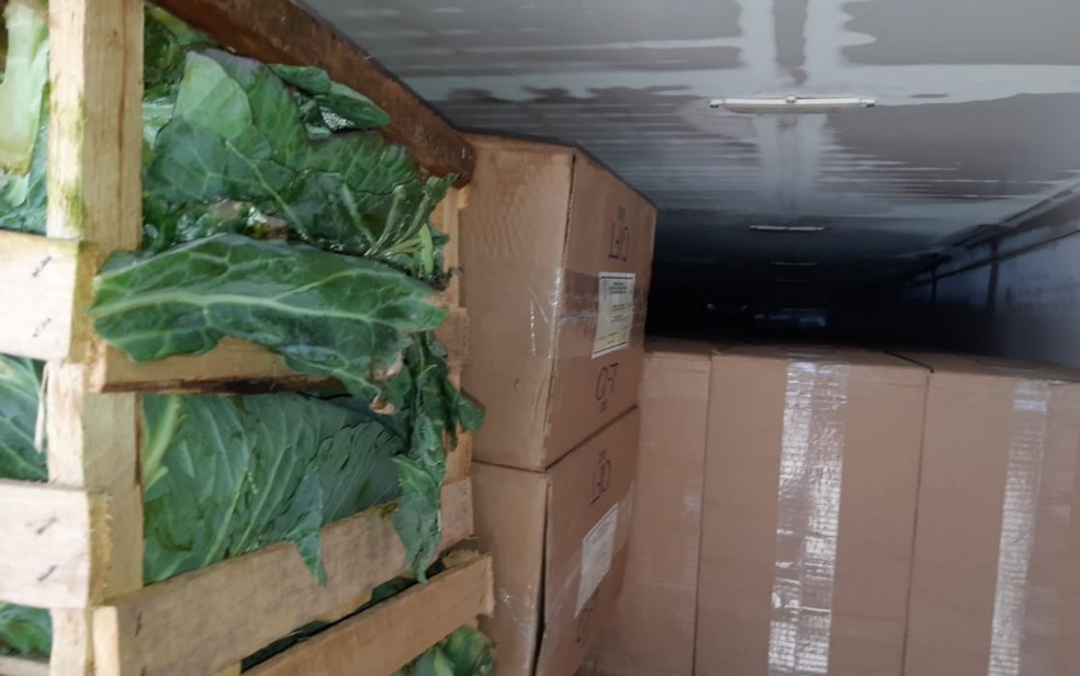 Caixas de cigarro contrabandeado escondidas por caixas de repolho &mdash; Foto: Divulga&ccedil;&atilde;o/PRF