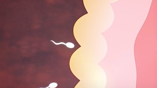 Fertilidade: cientistas descobrem proteína que pode auxiliar tratamentos para engravidar 