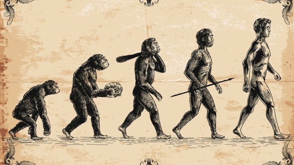 Humanos e macacos têm ancestrais comuns — Foto: GETTY IMAGES via BBC Brasil