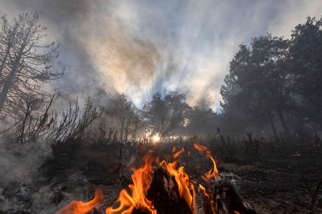 Natureza deve entrar em colapso em 40 anos  (Foto: Getty Images)