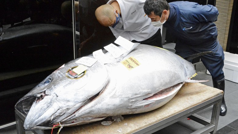 Atum de 208kg que foi leiloado por cerca de 200 mil dólares é exposto em mercado em Tóquio  (Foto: Kyodo/Reuters)