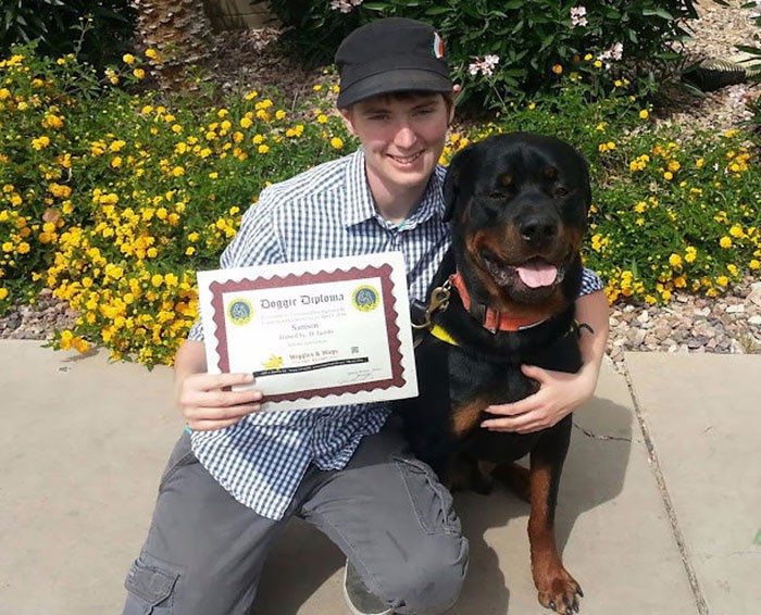 samson e um de seus diplomas - ele possui os títulos de CGC (Canine Good Citizen), CGCA (Canine Community) e PAT (Public Access Test) (Foto: reprodução)