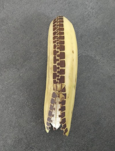 Arte na casca de banana (Foto: Anna Chojnicka/Reprodução Instagram)