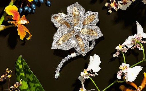 Orquídea inspira joia de diamantes avaliada em quase R$ 4 milhões - Casa e  Jardim | Paisagismo