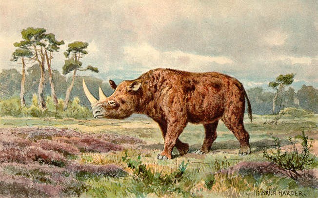 Representação artística de um rinoceronte-lanudo (Foto: Wikimedia Commons)