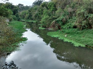 Rio Tietê, em Mogi das Cruzes (Foto: Maiara Barbosa/ G1)