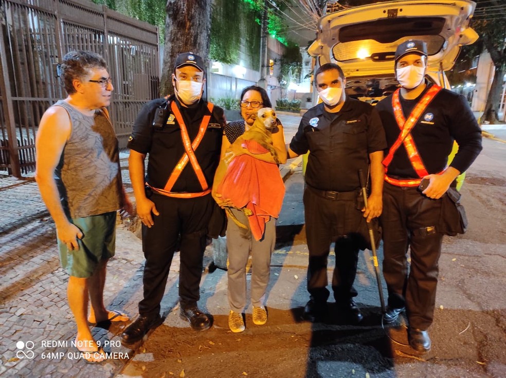 Lucy foi entregue aos donos após o resgate do Metrô Rio — Foto: Divulgação/Metrô Rio
