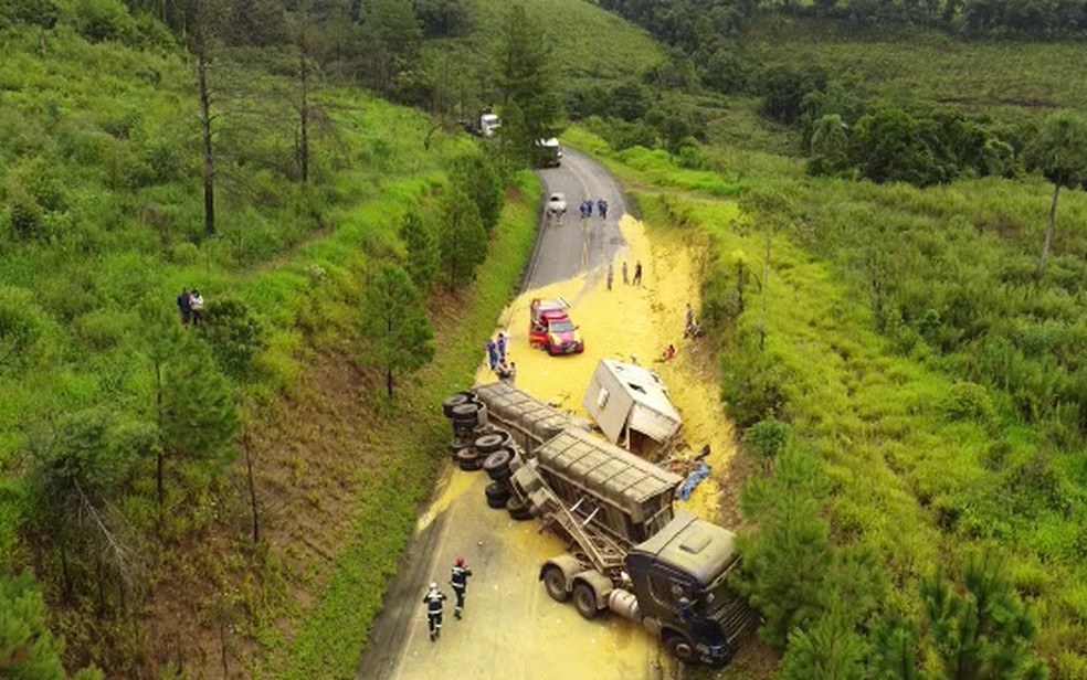 Quatro pessoas morrem após caminhão bater contra veículo de transporte de trabalhadores na PR-340 — Foto: Repórter Régis/Jornal de Tibagi