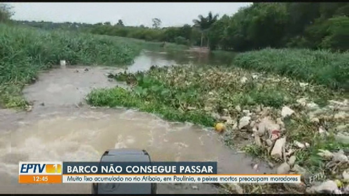 Vídeo mostra lixo e animais mortos em trecho do Rio Atibaia; moradores ...