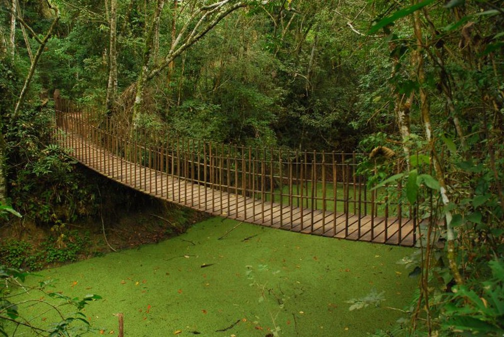 Parque Estadual Morro do Diabo, em Teodoro Sampaio — Foto: Fundação Florestal