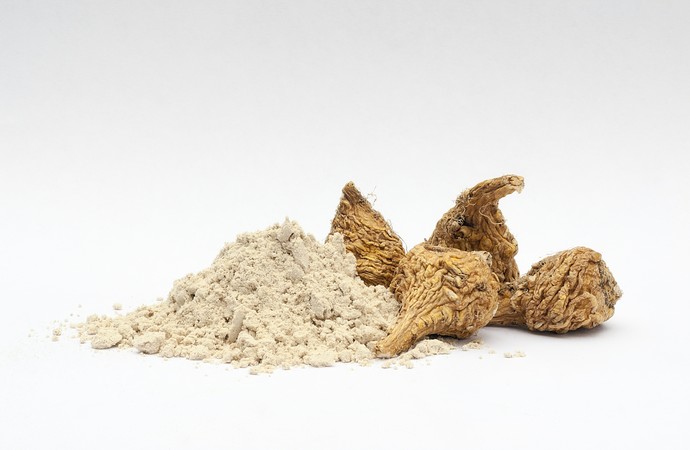 Maca Peruana: da Cordilheira dos Andes para o mundo, farinha é um "superalimento" (Foto: iStock Photo)