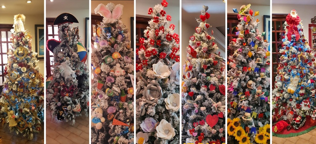 Com pandemia, terapeuta de Mogi mantém árvore de Natal montada o ano  inteiro e faz uma decoração diferente para cada época | Mogi das Cruzes e  Suzano | G1