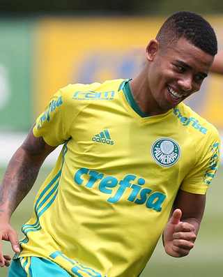 Gabriel Jesus Palmeiras (Foto: Cesar Greco/Ag Palmeiras/Divulgação)