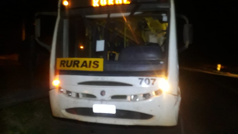 Ônibus atropelou égua na Rodovia da Integração, em Tupi Paulista (SP) — Foto: Polícia Militar Rodoviária