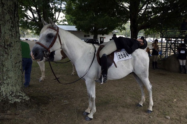 Cavaleiro foi fotografado tirando soneca montado em seu cavalo  (Foto: Brendan McDermid/Reuters)