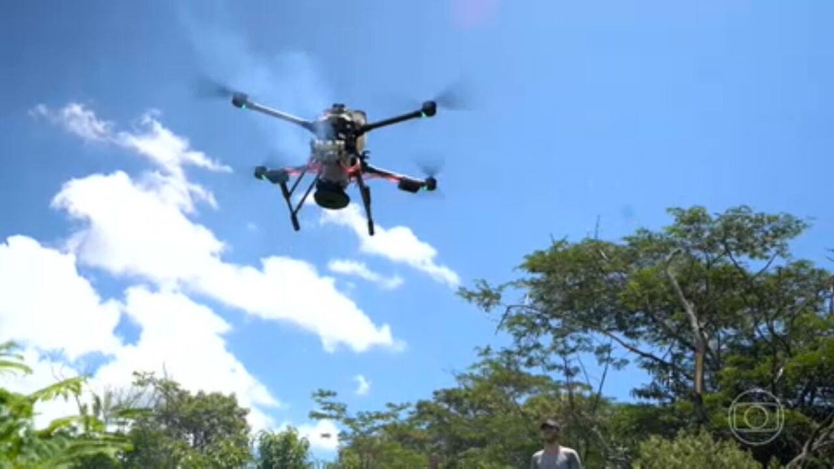 L’utilisation de drones rend le reboisement moins cher et plus efficace |  Journal national