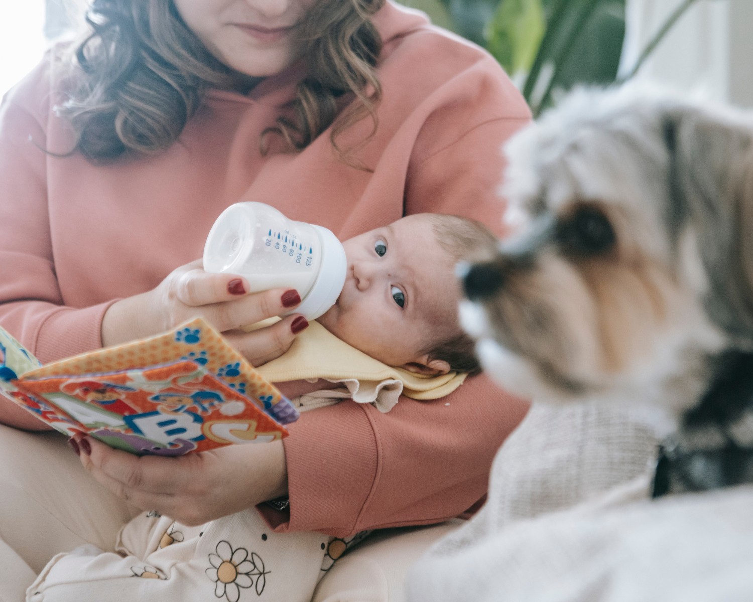 Entenda qual a melhor forma de realizar a adaptação do seu pet com a chegada do bebê (Foto: Pexels/ Sarah Chai /CreativeCommons)
