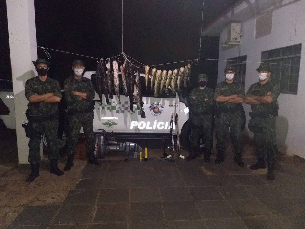 Peixes foram apreendidos e doados para o Núcleo de Apoio aos Pacientes com Câncer de Panorama — Foto: Polícia Ambiental