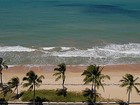 Com medo de novos ataques, Recife analisa projetos para conter tubarão