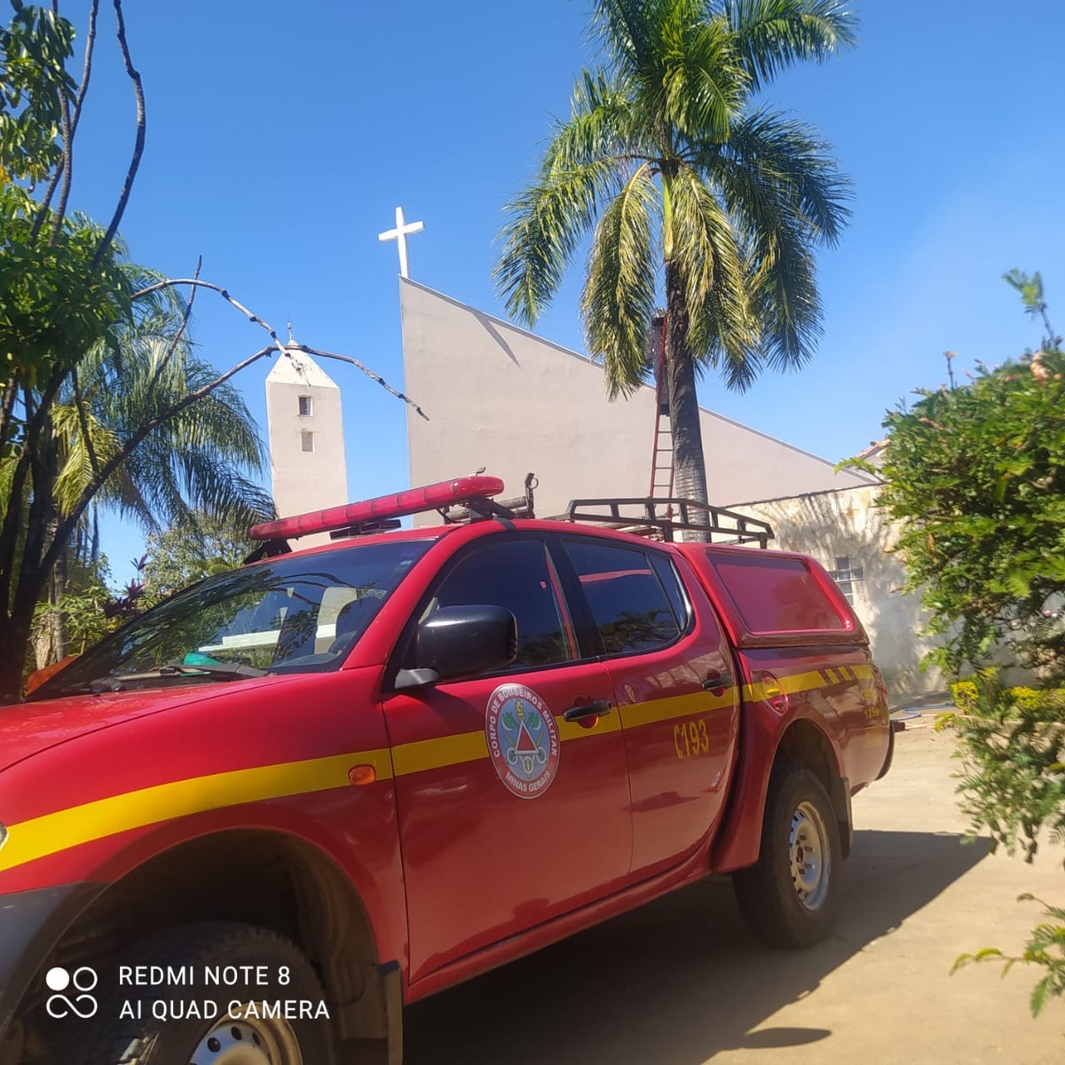 Bombeiros capturam enxame em Montes Claros; insetos estavam atacando pessoas