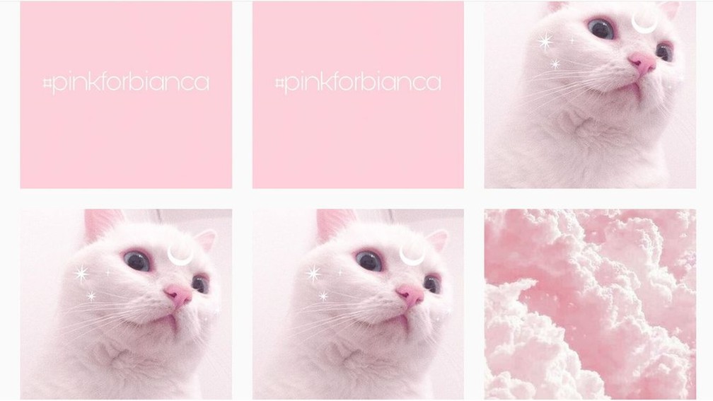 A hashtag #PinkForBianca foi criada para combater a propagação das fotos de Devins — Foto: Reprodução/Instagram