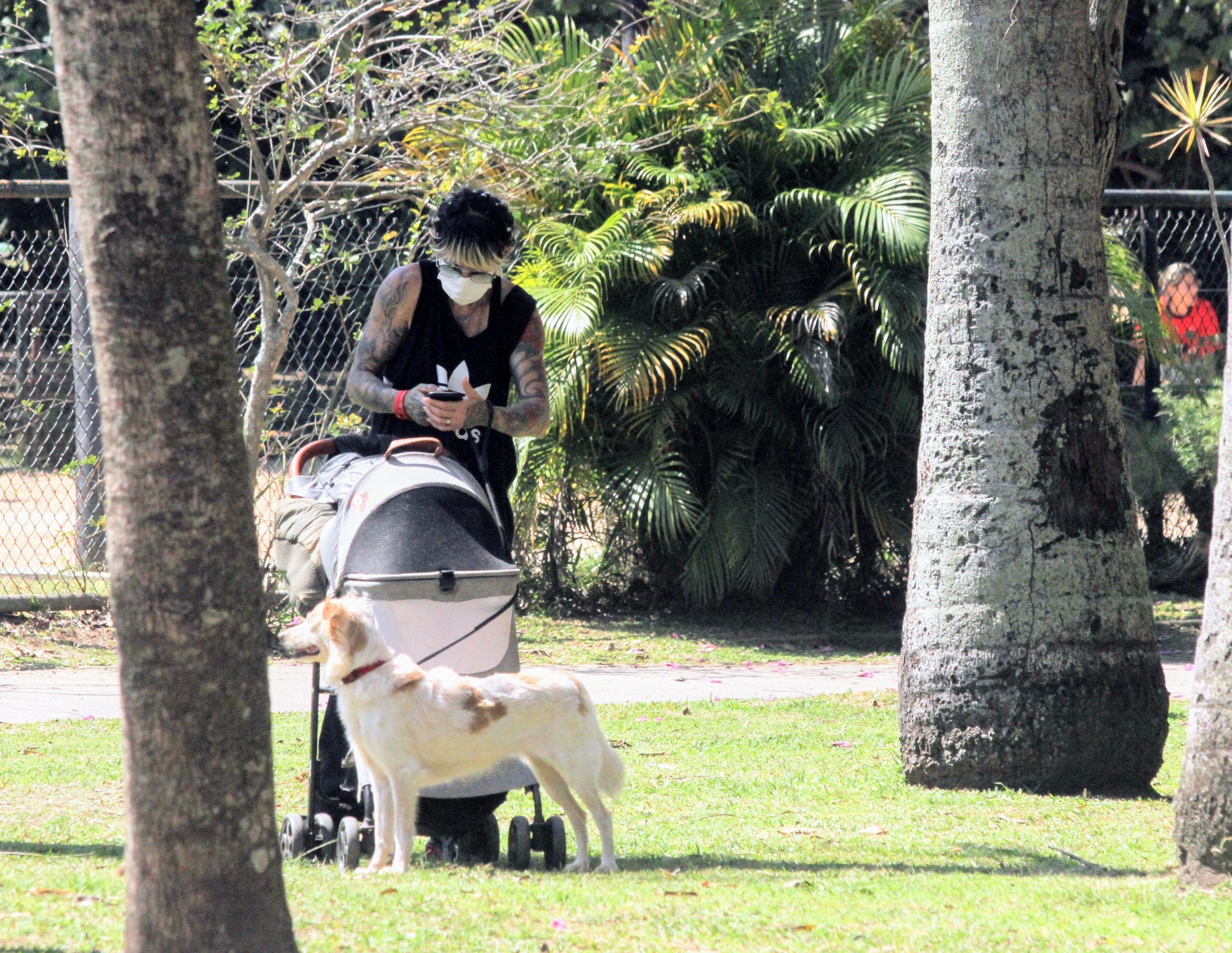 Cacá Werneck leva cão para passear em carrinho (Foto: Daniel Delmiro/AgNews)
