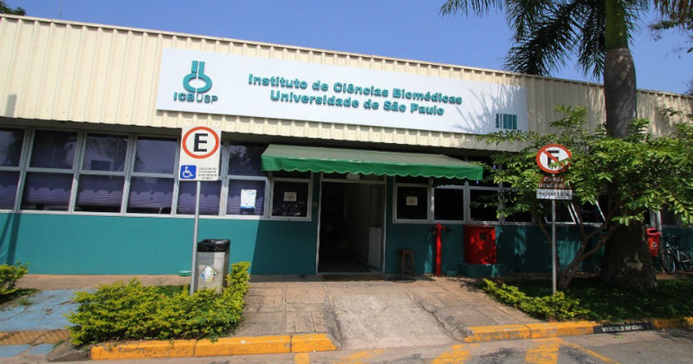 Prédio do Instituto de Ciências Biomédicas (ICB) no campus Cidade Universitária, em São Paulo — Foto: Marcos Santos/USP Imagens