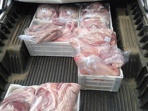 217 quilos de carne são apreendidos em MG (Foto: Polícia Militar/Divulgação)