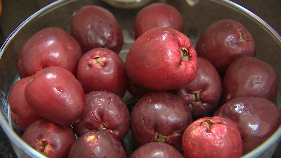 Com vitamina C e fibras, aprenda a fazer uma sobremesa à base de jambo ...