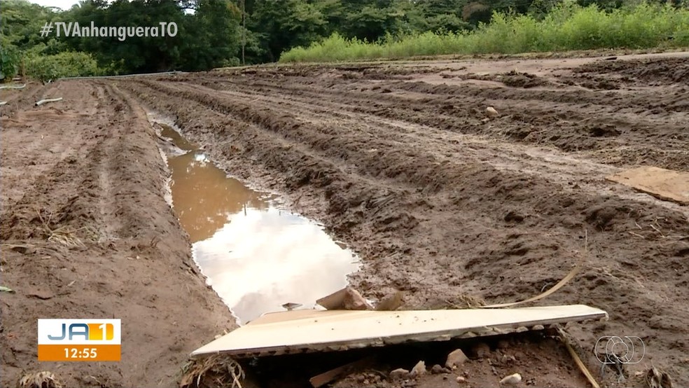 Canteiros de coentro foram destruídos pela chuva — Foto: Reprodução/TV Anhanguera