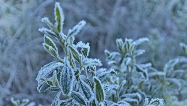 BBC Mudança climática aumenta frequência de eventos extremos, inclusive frio (Foto: Getty Images via BBC)