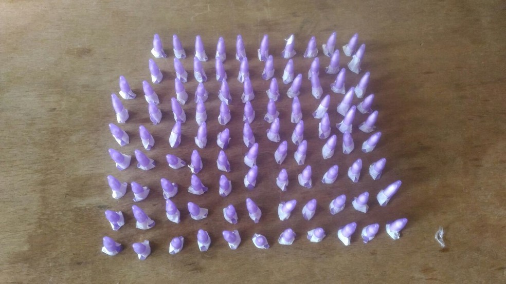 jovem de 18 anos e preso com 467 pinos de cocaina e 200 gramas de maconha em sao carlos sp sao carlos e araraquara g1