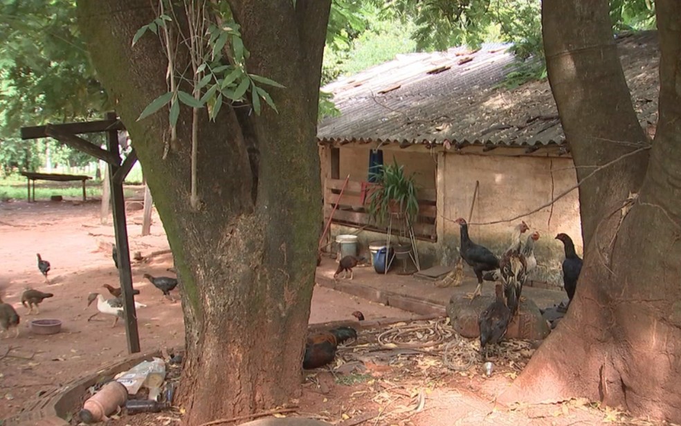 Local onde mulher foi encontrada morta em SÃ£o JosÃ© do Rio Preto (SP) (Foto: ReproduÃ§Ã£o/TV TEM/Arquivo)