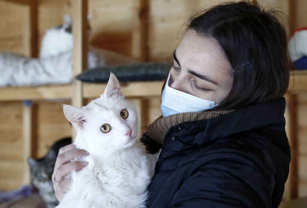 Mulher se protege com máscara ao cuidar de gatos resgatados em abrigo na Rússia (Foto: Getty Images)