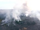 Incêndio atinge área próxima à Cavalaria Montada da PM no DF