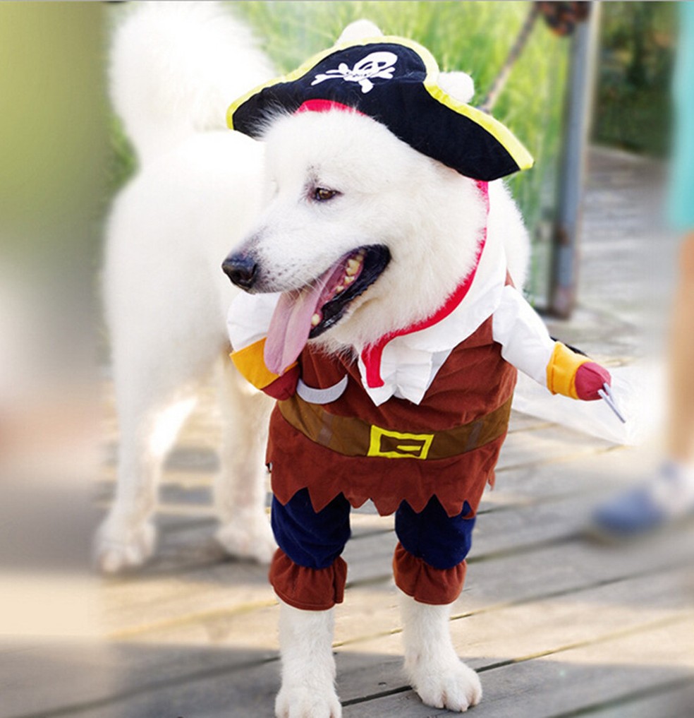 Fantasia Pet Pirata. A partir de R$ 109,90, na Go Up Pet — Foto: Go Up Pet/ Divulgação