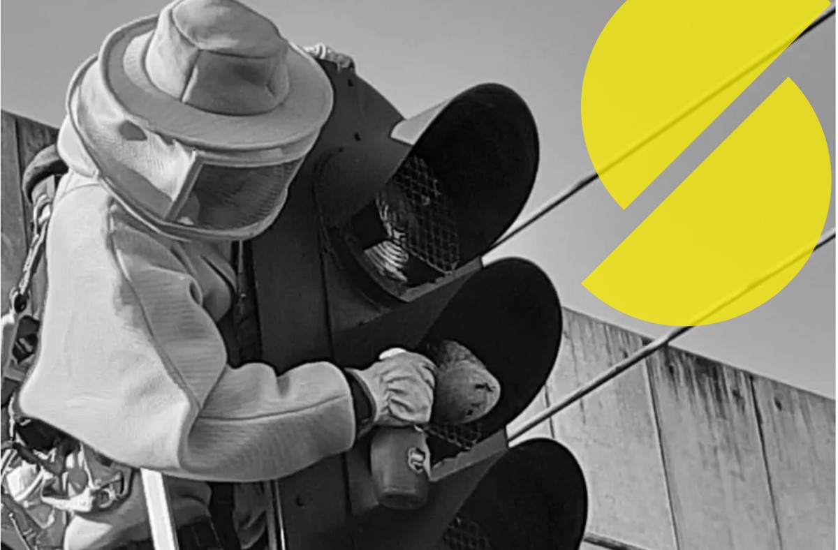 SuperVia conta com apicultor para fazer retirada de abelhas e marimbondos das esta&ccedil;&otilde;es; entenda