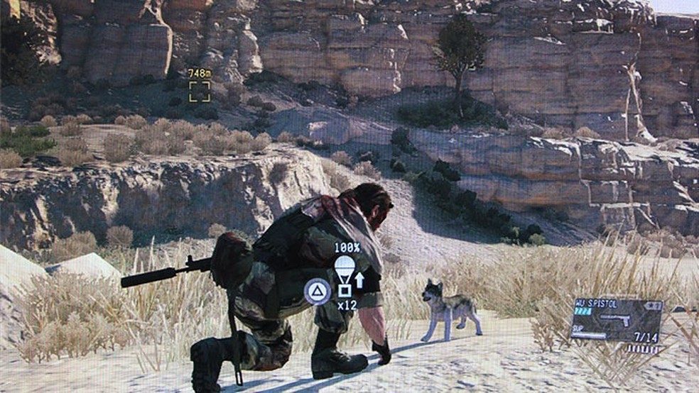 where is the dog in phantom pain