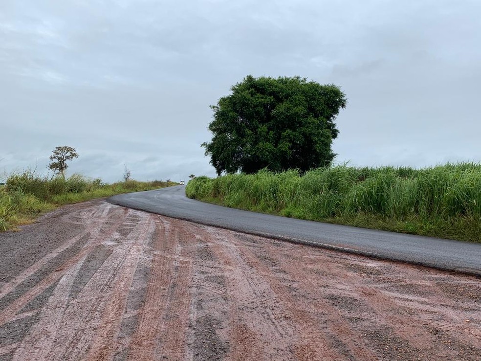 Homem é encontrado morto em canavial — Foto: Mariane Santos/TV Fronteira 