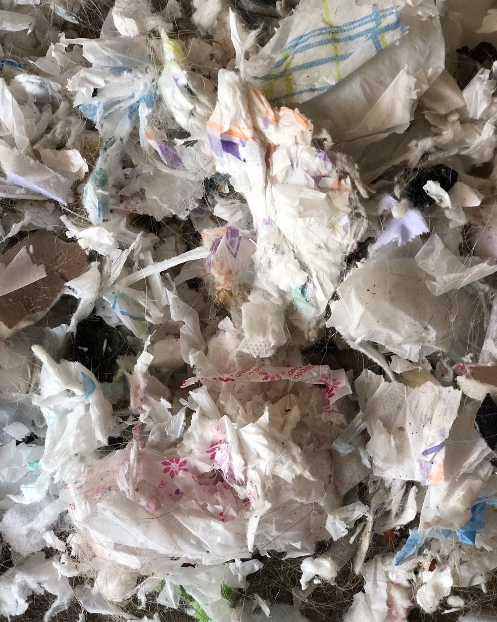 Lixo que preenchia colchonete para pets, comprado em um mercado de Sete Barras, no Vale do Ribeira. — Foto: Arquivo Pessoal