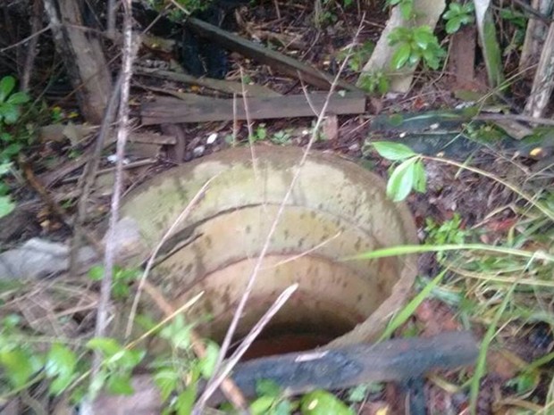 Buraco onde filhote caiu tinha um metro e meio de profundidade. Rio Preto (Foto: Reprodução / Site VotuNews)